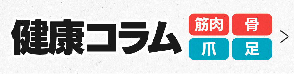 身体の豆知識をお届け！健康コラムはこちら